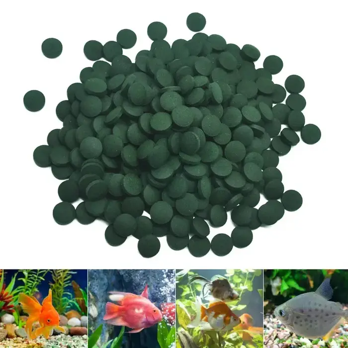 100-3000pc comprimés de spiruline de haute pureté spirale algues enrichissement préféré des animaux de compagnie