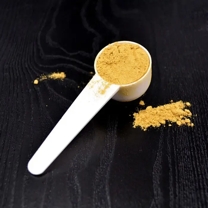 10 cuillères doseuses pour café, protéines, lait en poudre, cuisine, 1/3/5/10g