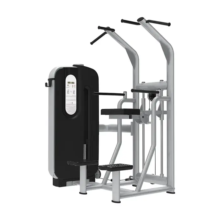 Matériel de musculation de haute qualité Land Fitness, machine à charges réglables pour dips/étriers
