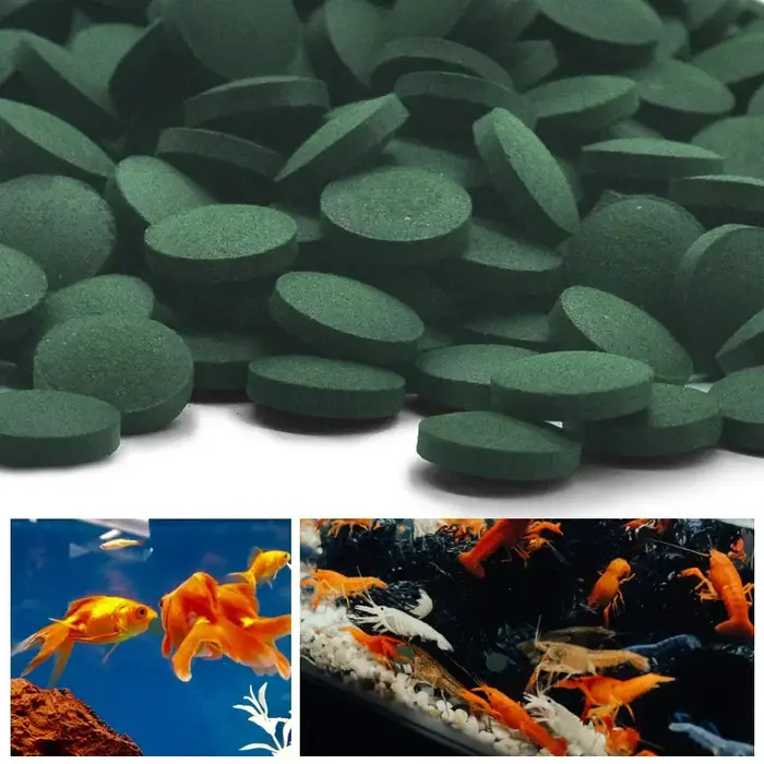 100-3000pc comprimés de spiruline de haute pureté spirale algues enrichissement préféré des animaux de compagnie