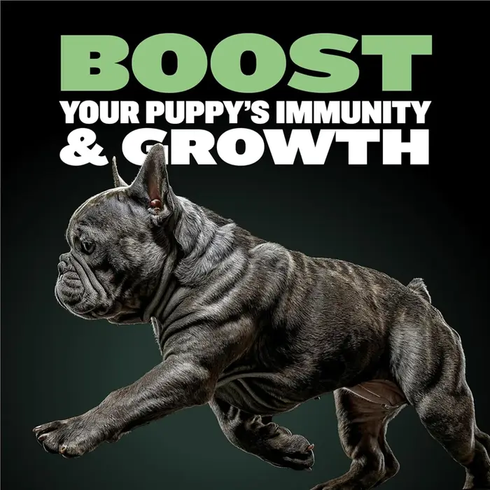 BULLY MAX FORMULA DE PROTEIN & GROWTH ENTIÈME POUR COUPES