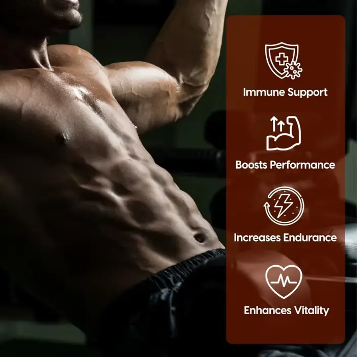 L-Arginine Extra Fort - Complément de Créatine 1200mg pour la Croissance Musculaire, la Vascularisation et l'Énergie - Puissant Stimulant Sans Booster avec Maca